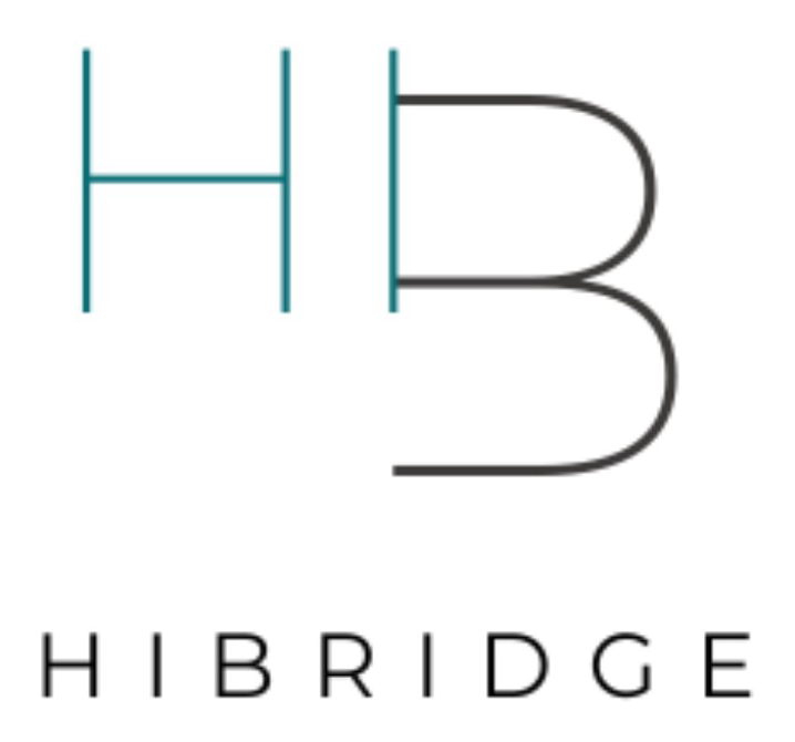 Hibridge